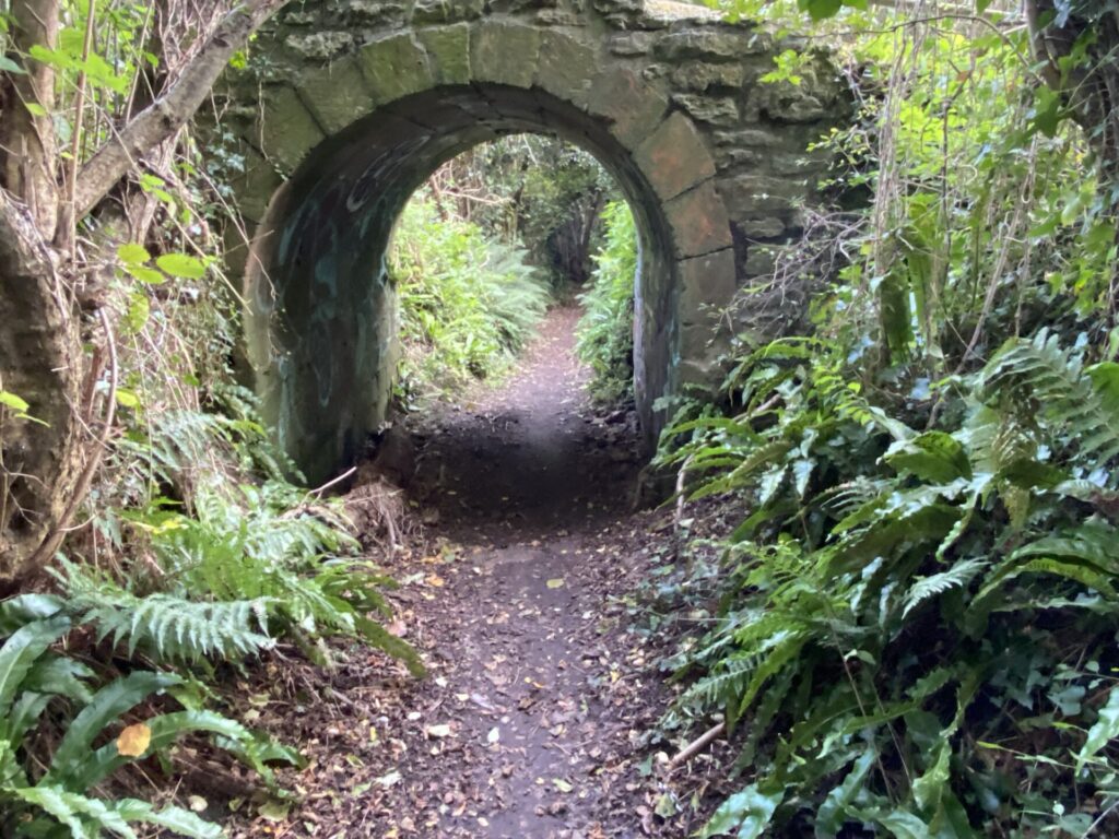 Tunnel on footpath. Originally old road to North Perrott